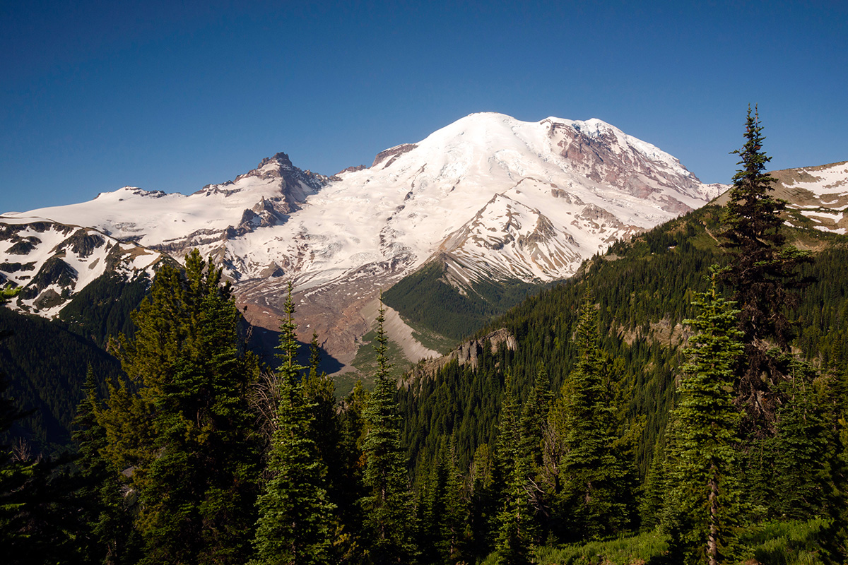 The Best Hikes & Top Trails in Mount Rainier National Park 8
