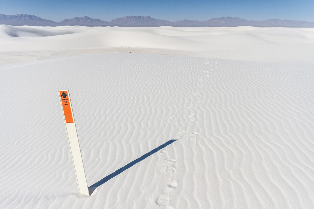 Best Things to Do at White Sands National Park: The Ultimate Adventure Guide 12