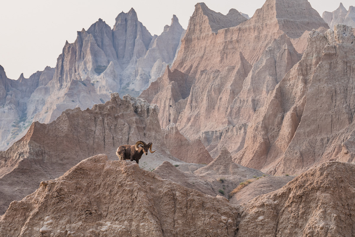 Best Things to Do in Badlands National Park 7