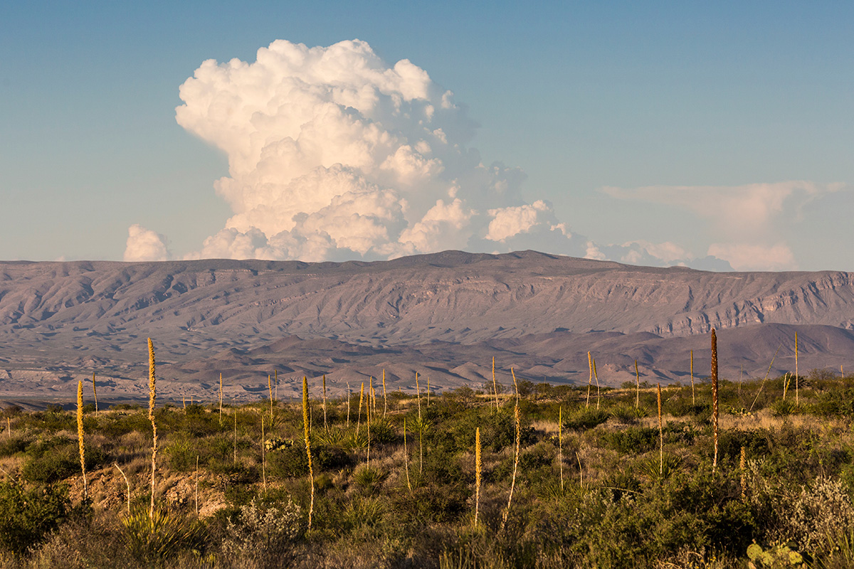 Best Hikes in Big Bend National Park: The Complete Guide for Every Skill Level 10