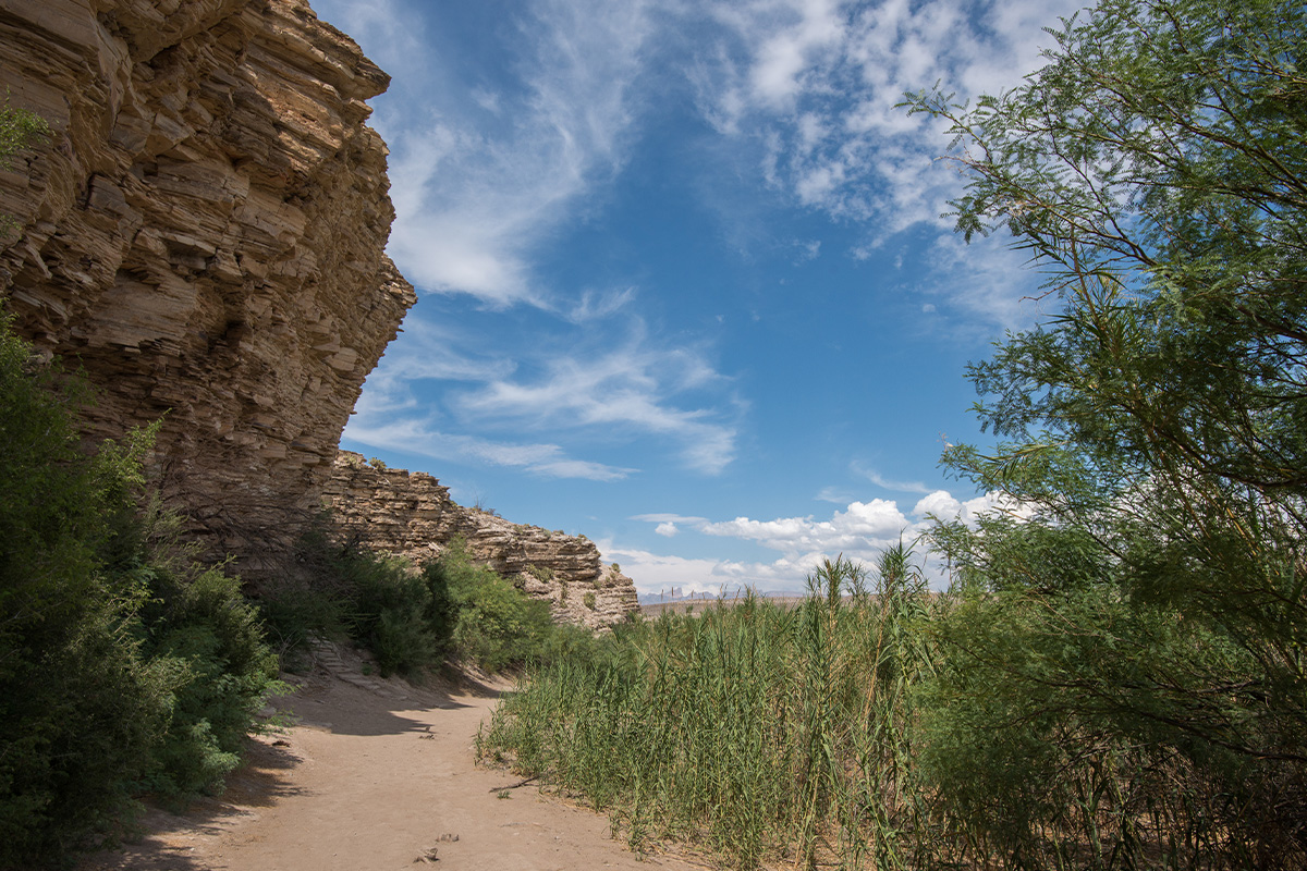 Best Hikes in Big Bend National Park: The Complete Guide for Every Skill Level 15