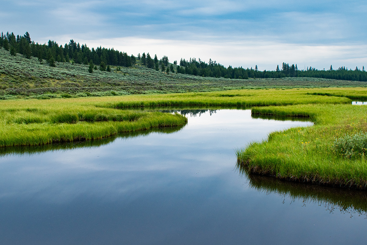 Best Hikes in Yellowstone National Park: Top Trails 16