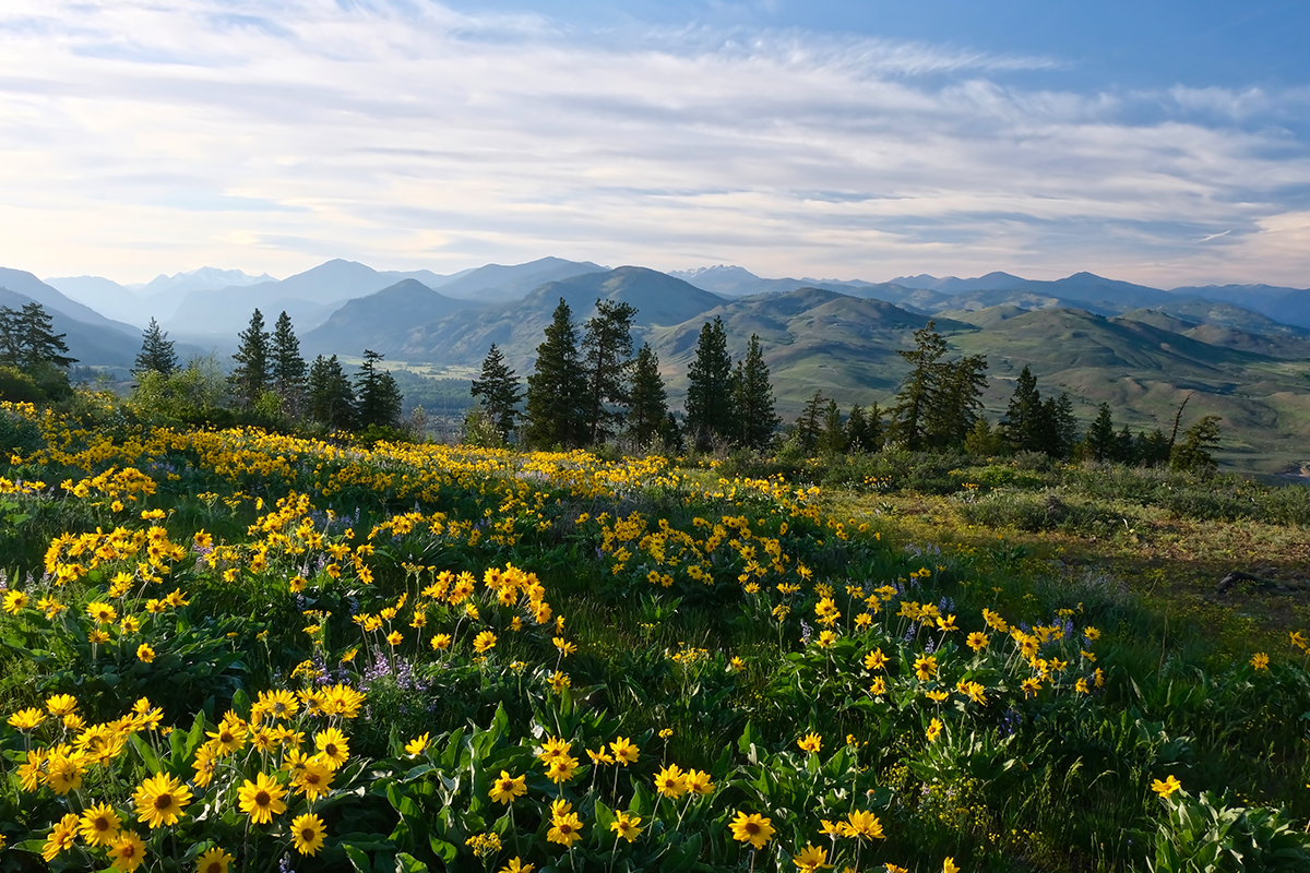 15 Best Things to Do in North Cascades National Park (The Ultimate Guide) 15