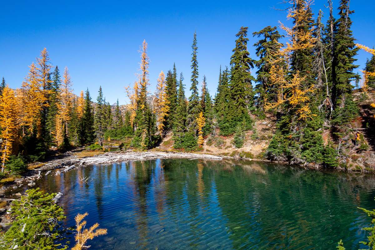 15 Best Things to Do in North Cascades National Park (The Ultimate Guide) 7