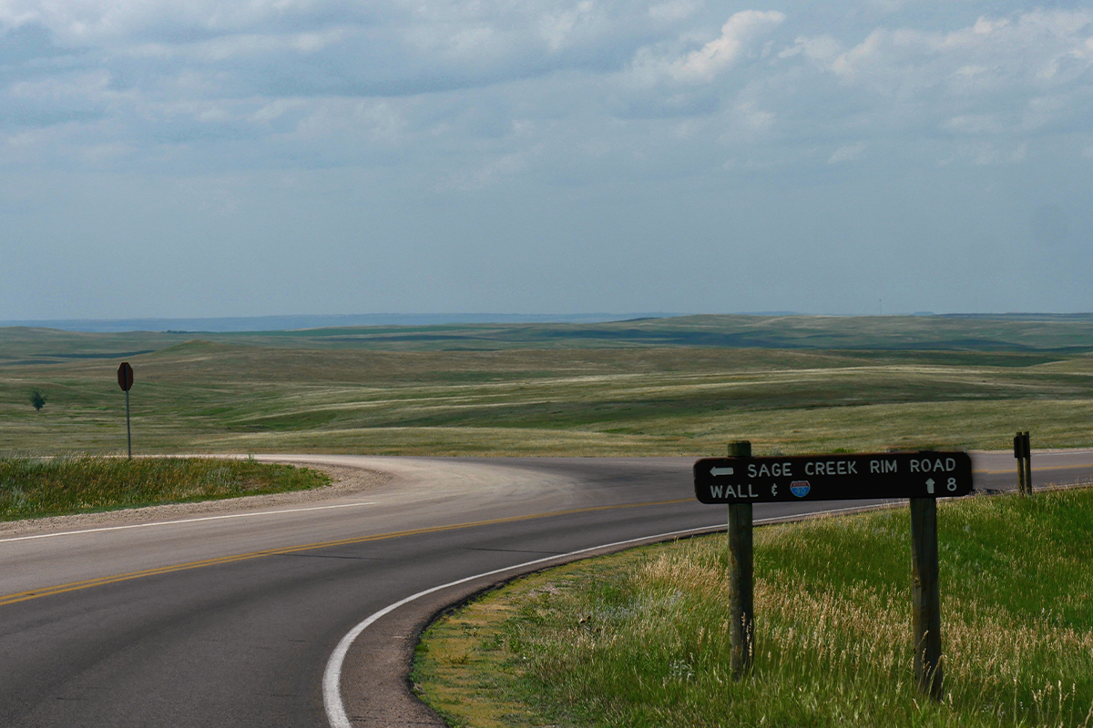 Badlands National Park Animals: The Complete Wildlife Spotting Guide 5