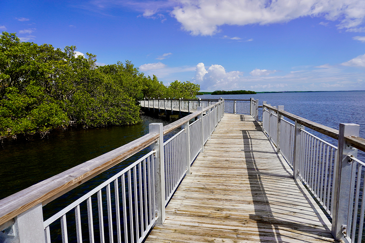 The Best Things to Do in Biscayne National Park: A Complete Guide 7