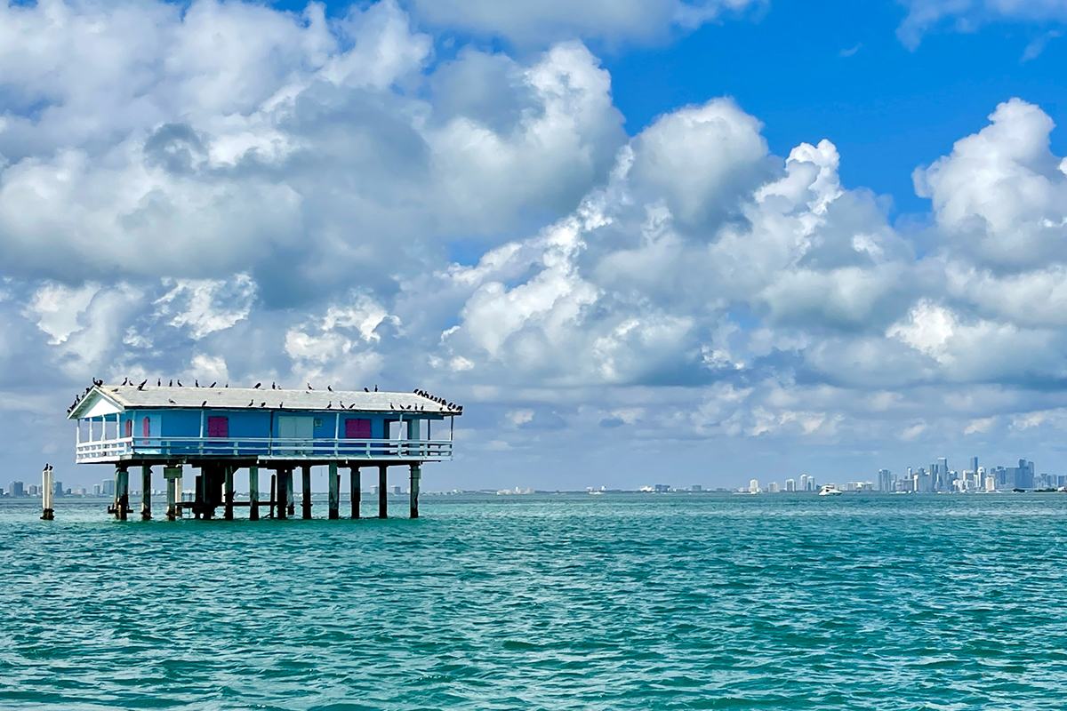 The Best Things to Do in Biscayne National Park: A Complete Guide 3