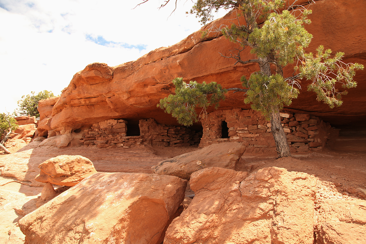15 Best Things to Do in Canyonlands National Park: The Ultimate Adventure Guide 6