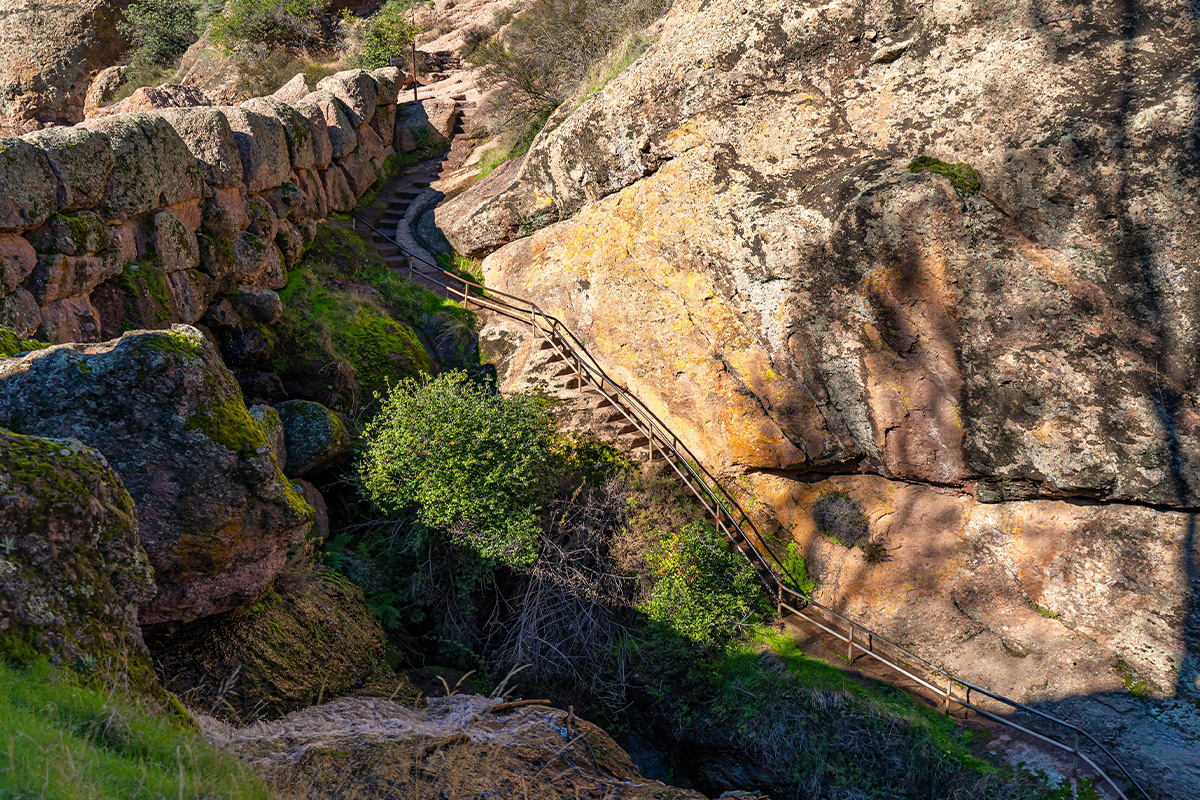 The Ultimate Guide to Things to Do in Pinnacles National Park 4