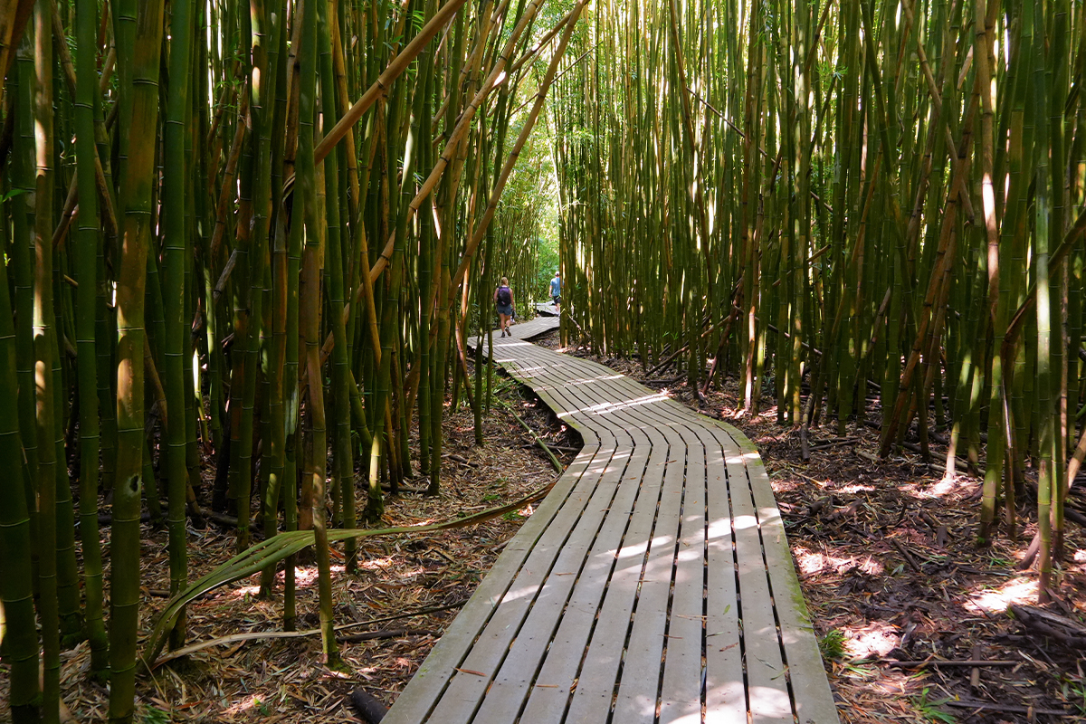 The Ultimate Guide to Things to Do in Haleakala National Park 7