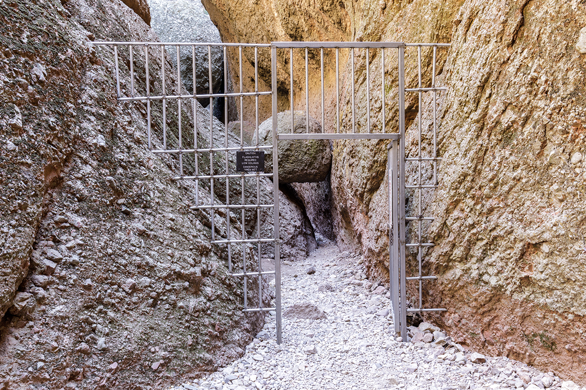 The Ultimate Guide to Things to Do in Pinnacles National Park 4
