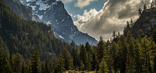 Grand Teton Beginner Hiking Trails