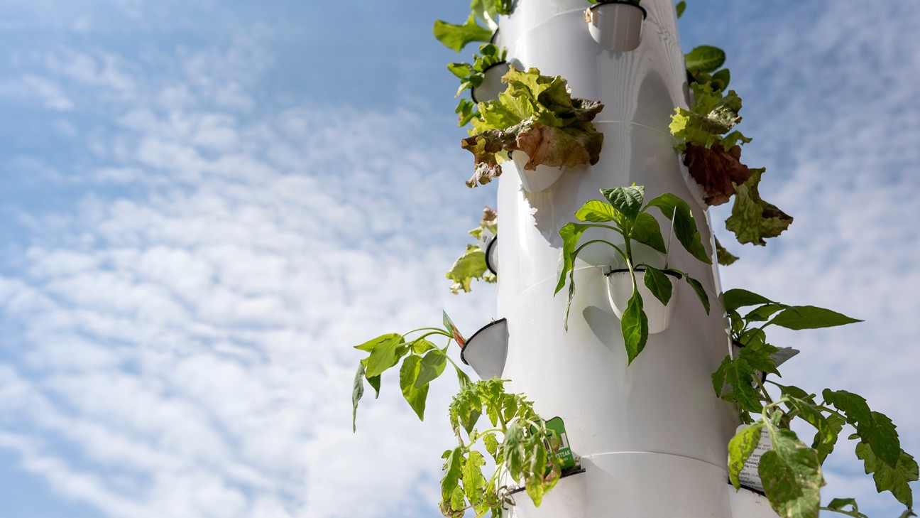 All You Need To Know About Vertical Gardens FI