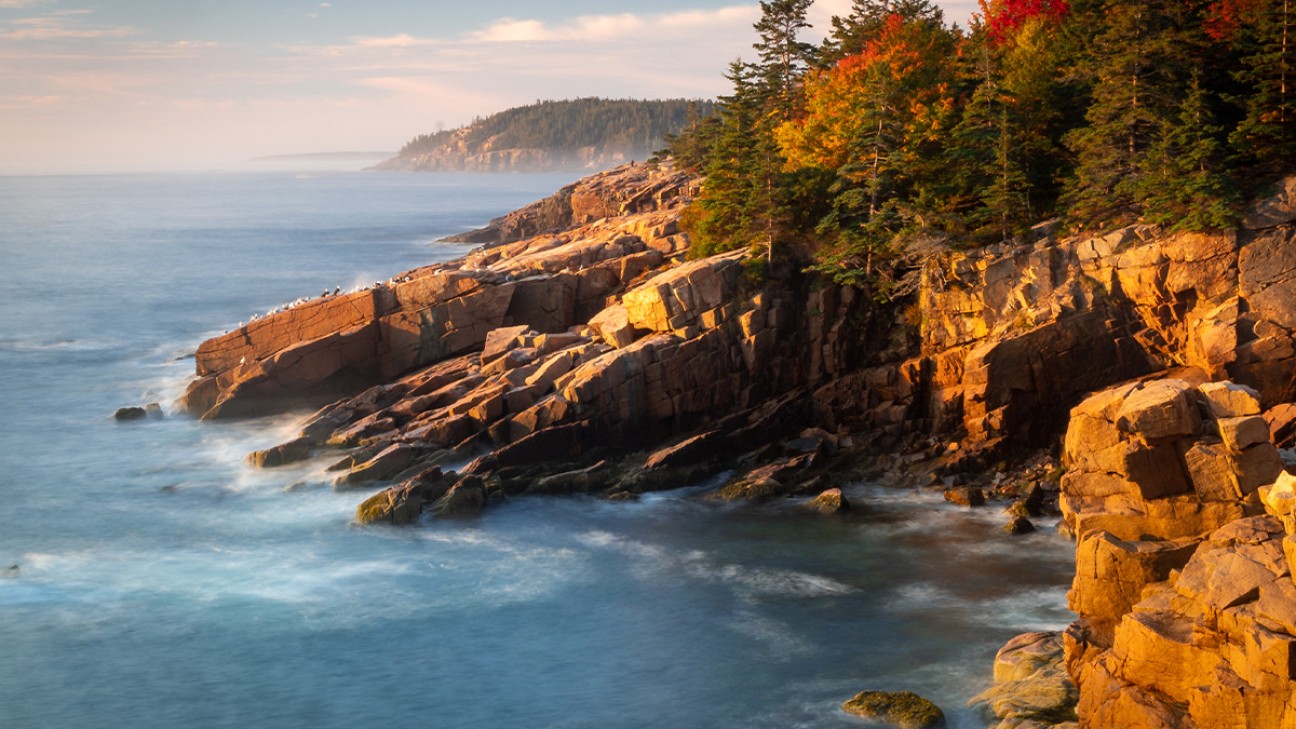 Acadia National Park Camping fi