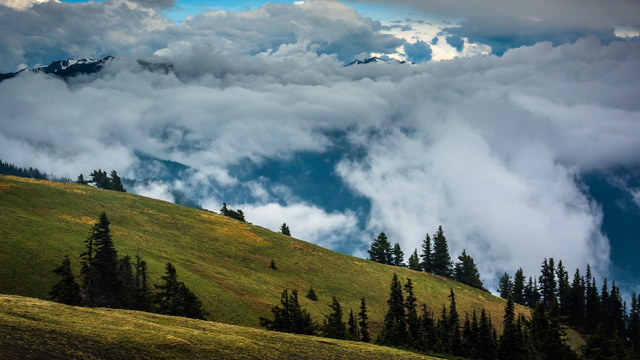 Plan the Best Time to Visit Olympic National Park and Explore fi