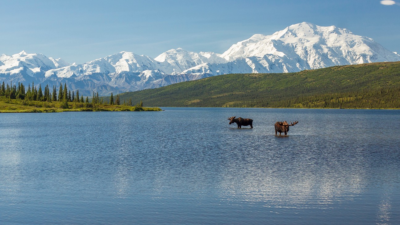 Exploring Animals And Their Habitats in Glacier National Park 6