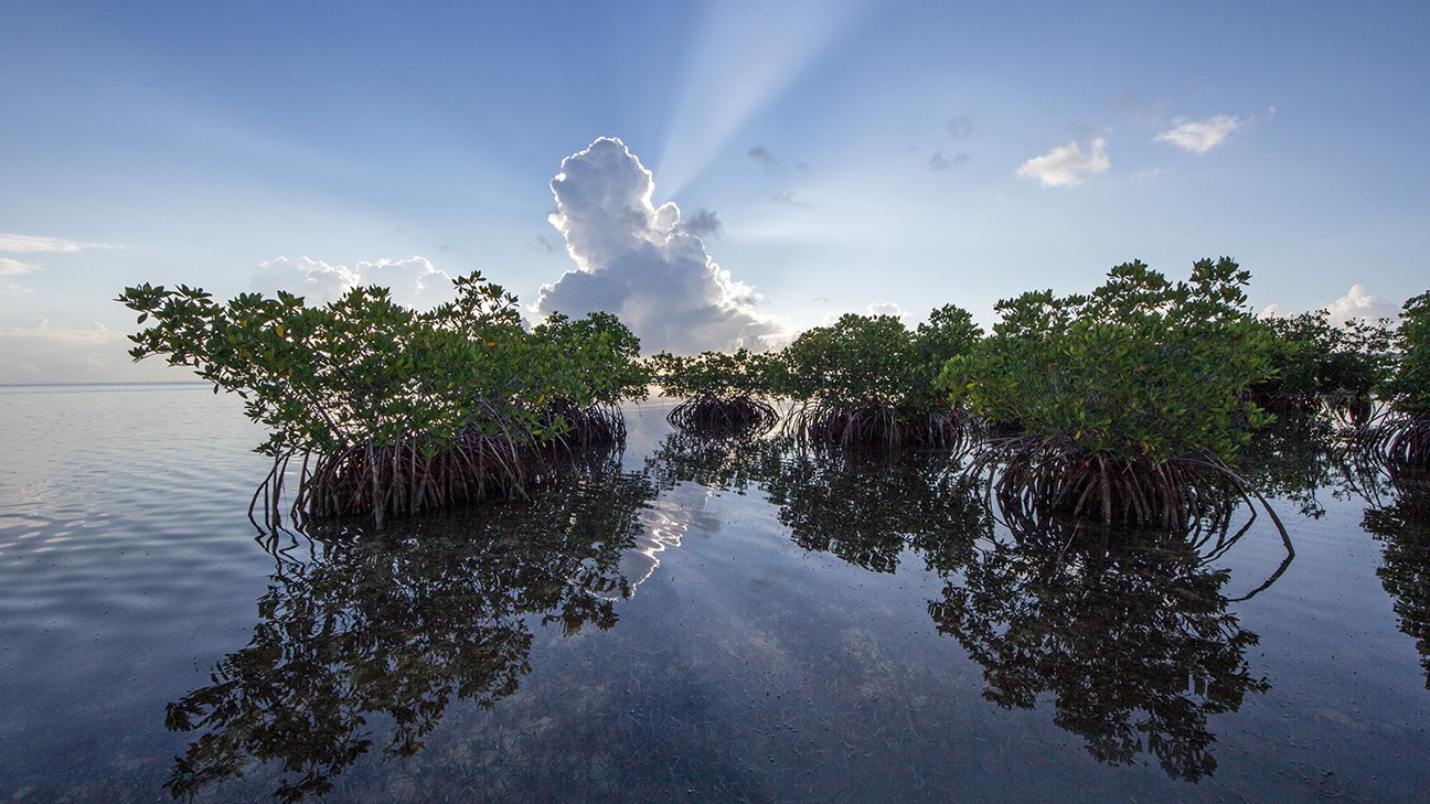 The Best Things to Do in Biscayne National Park: A Complete Guide fi