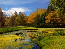 Seattle Hiking Trails FI