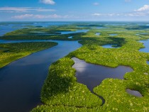 13 Interesting Facts about the Everglades for Nature Lovers fi