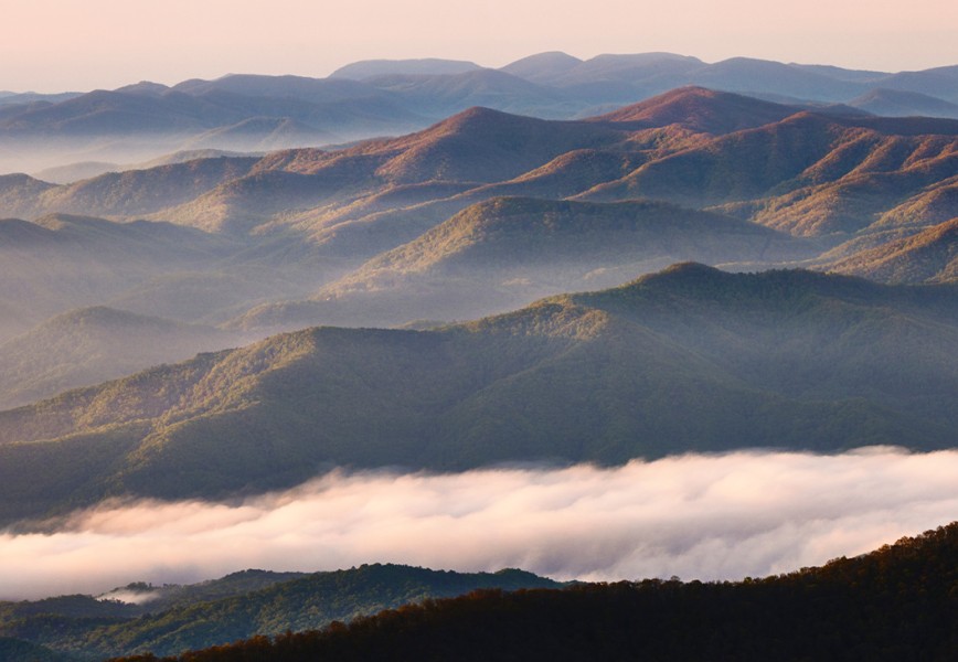 The Ultimate Guide to Great Smoky Mountains National Park Animals fi
