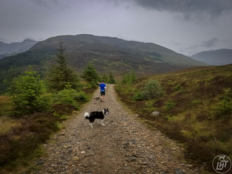 Trail Running Scotland