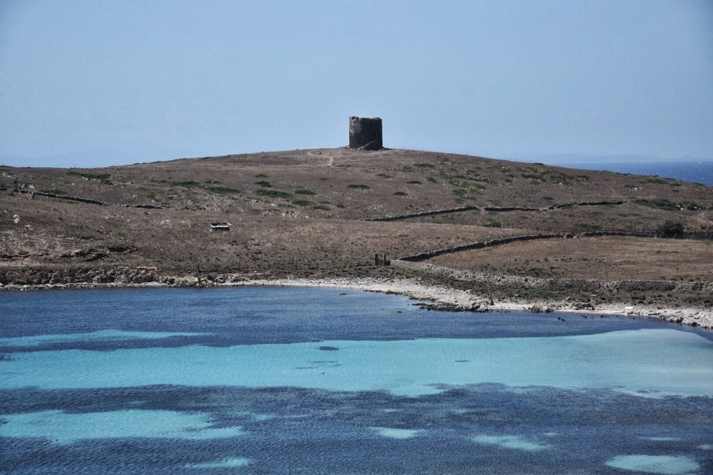 Asinara Views